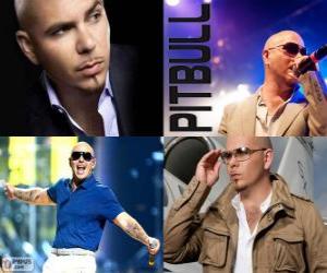 пазл Pitbull (Армандо Кристиан Перес), является музыкальный продюсер кубинского происхождения